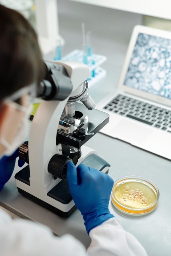 Natural GLP-1: How Gut Microbiota Aids Weight Loss bacteria